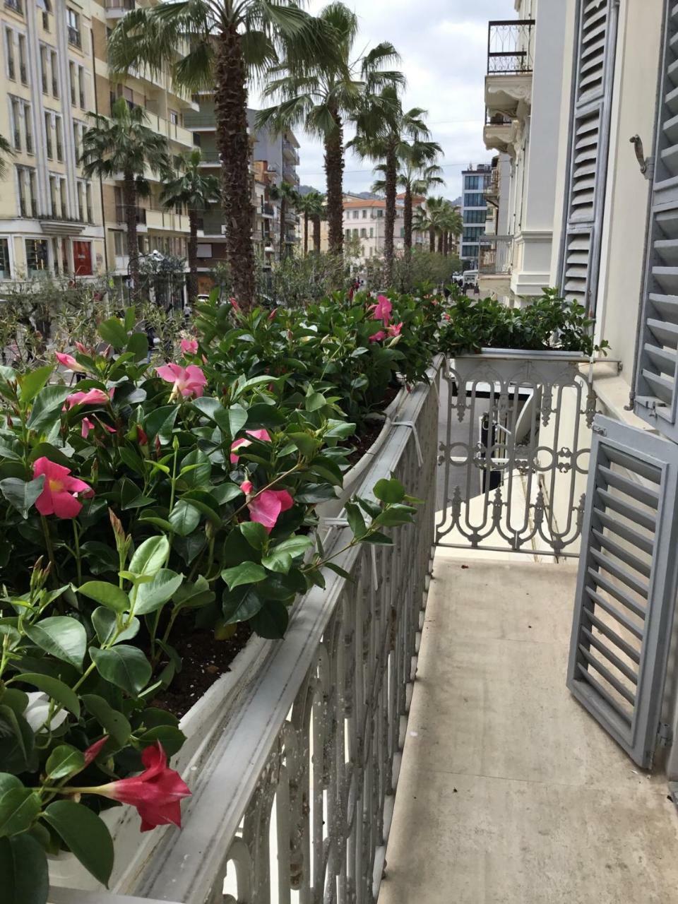 Palazzo Dei Grifoni - Luxury Suites - San Benedetto del Tronto Luaran gambar